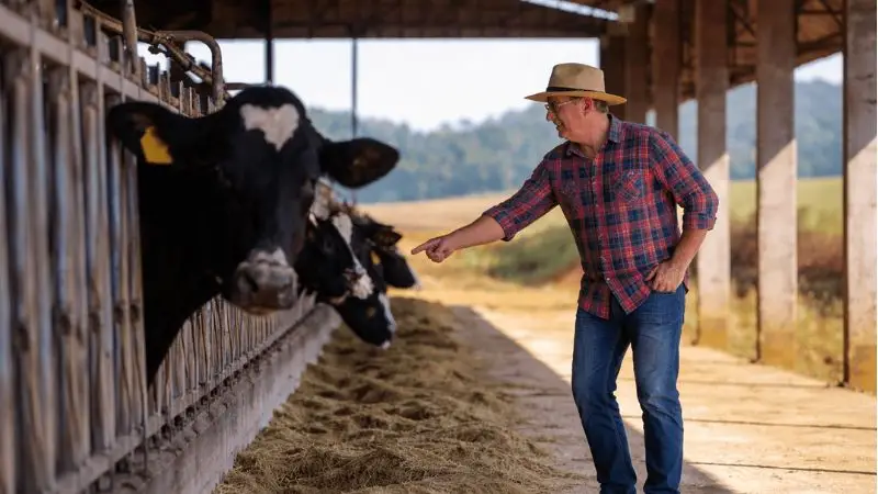 pagamento por qualidade do leite em laticínio